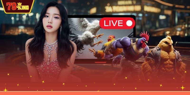 Chia sẻ kinh nghiệm cược gà chiến hiệu quả