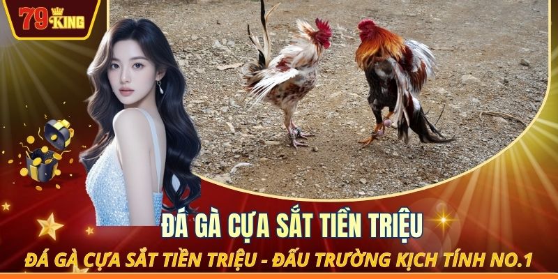 Đá gà cựa sắt tiền triệu